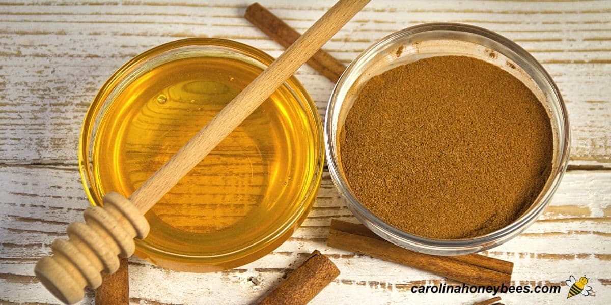 Honey and Cinnamon for Cough Relief - Carolina Honeybees