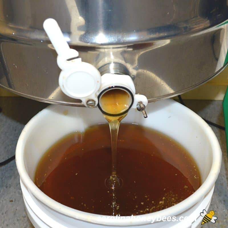 Raw honey pouring from extractor into a storage bucket image.