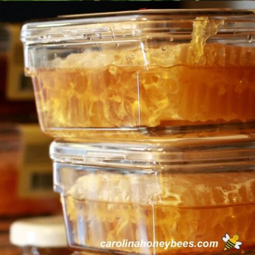 How to Store Carolina Honeybees