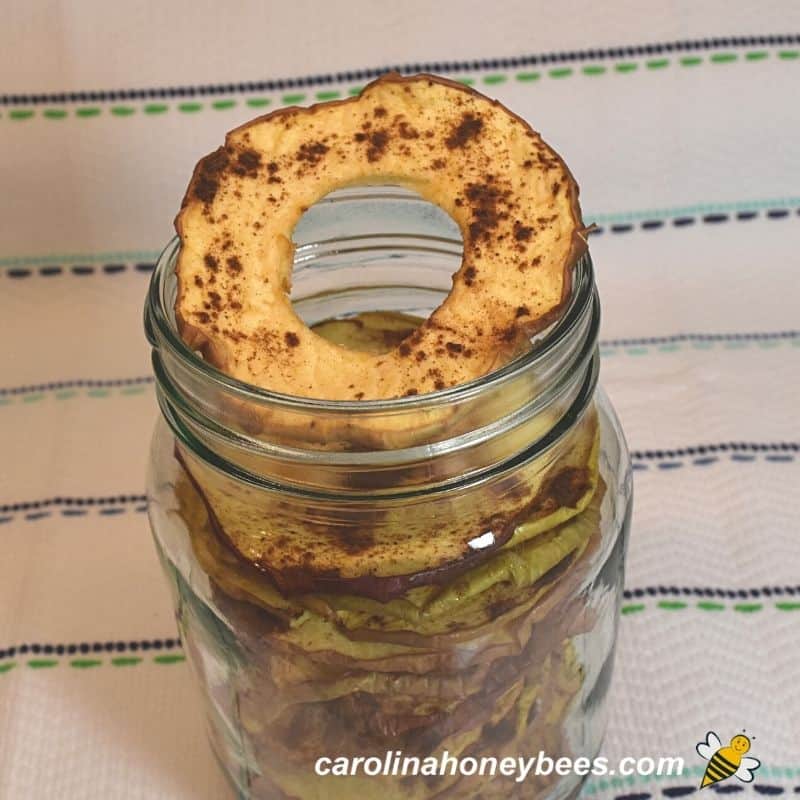 https://carolinahoneybees.com/wp-content/uploads/2021/11/large-dried-apple-ring.jpg