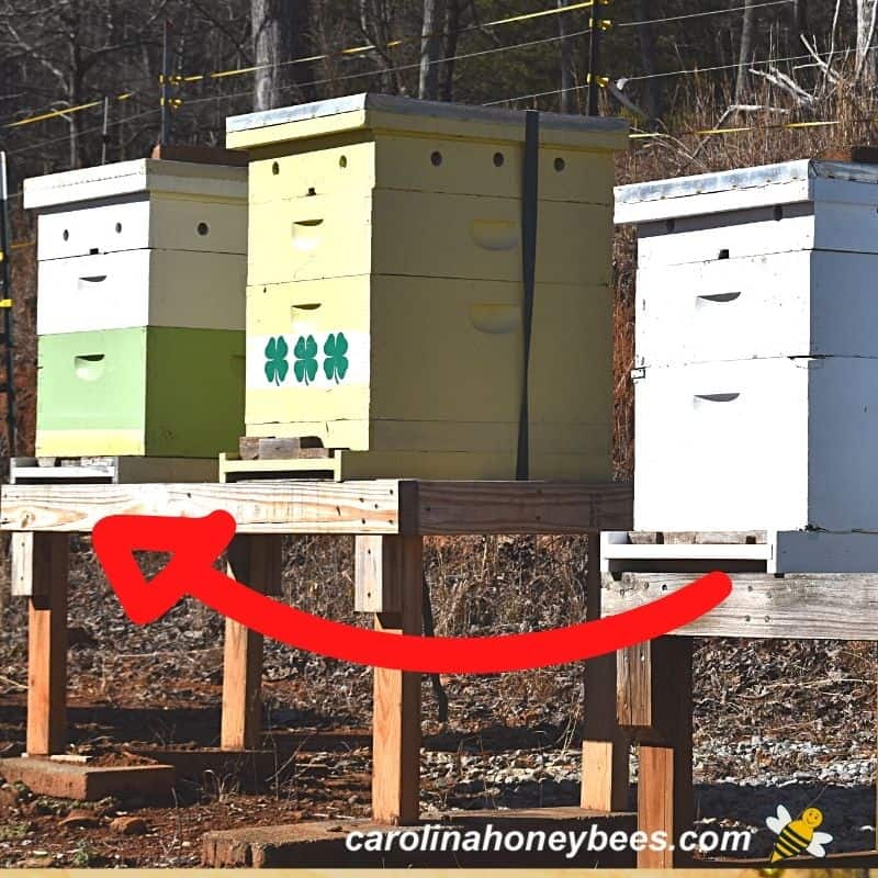 Several hives on stands in apiary with arrow to show short distance move.