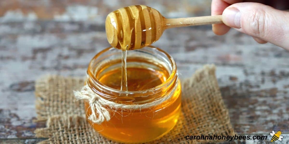 Small jar of honey with twine around the top and a honey dipper image.