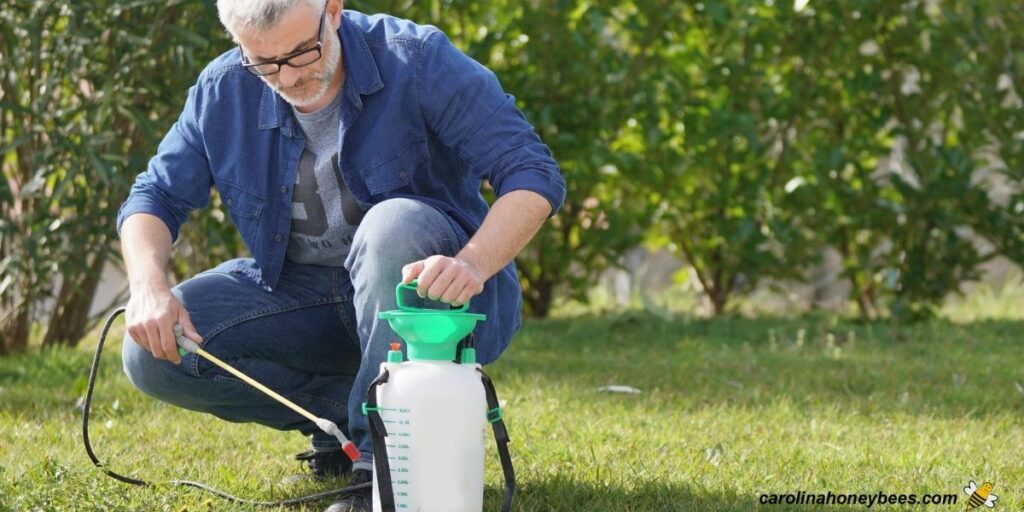 Effective Bee Safe Weed Killers Carolina Honeybees