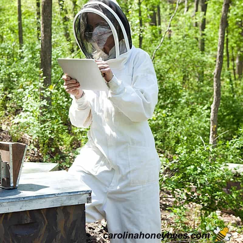 Beekeepers In White Protective Suit Holding Bees And Beeswax In