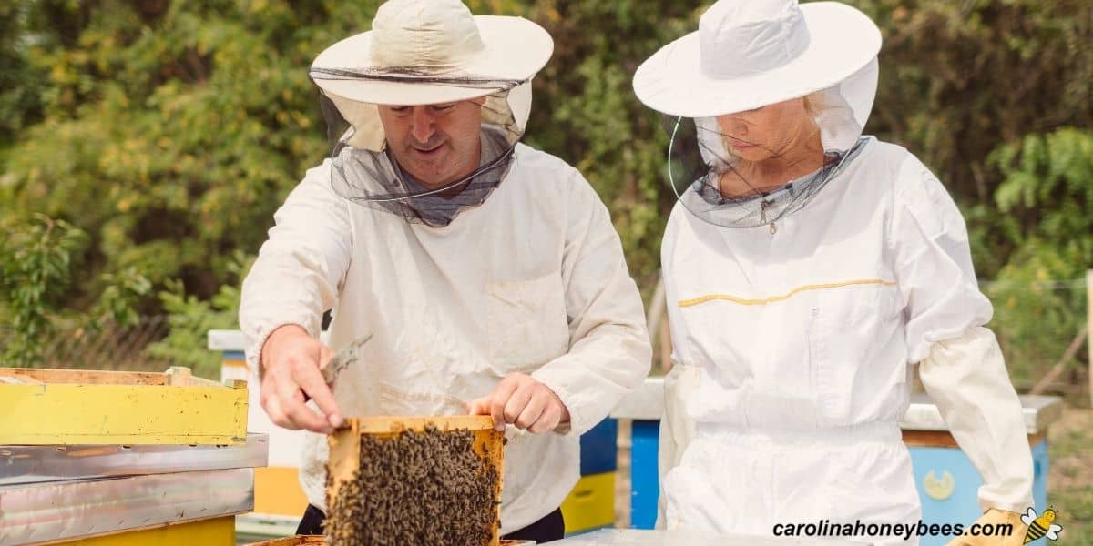 How These Beekeepers Stay True to Themselves, Even in Their Suits