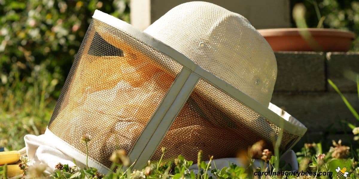 Beekeeping Protective Clothing - Beginner's Guide - Carolina Honeybees