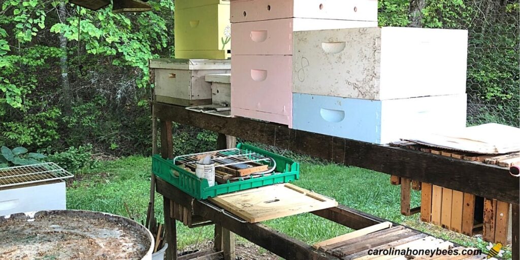 How to Store Beekeeping Equipment Carolina Honeybees