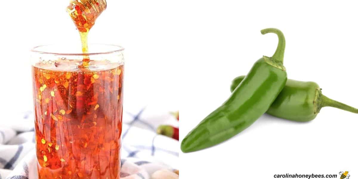 Jar of honey with hot jalapeno pepper seeds image.