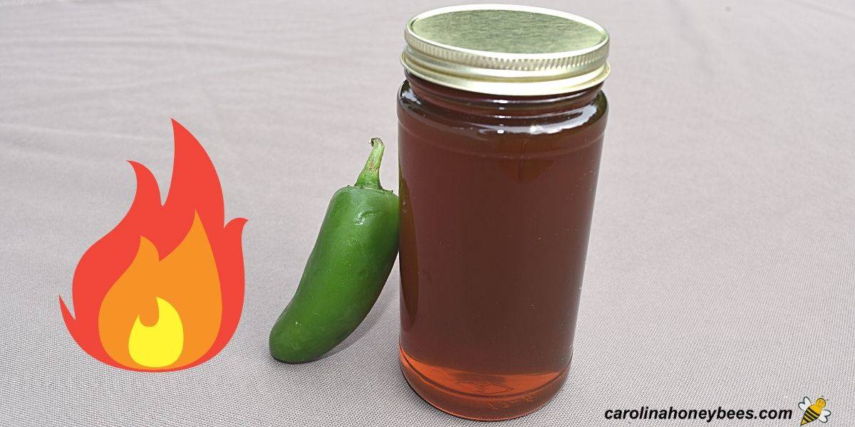 Jar of jalapeno infused hot honey image.