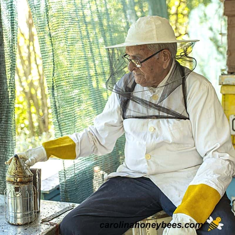 Beekeepers In White Protective Suit Holding Bees And Beeswax In