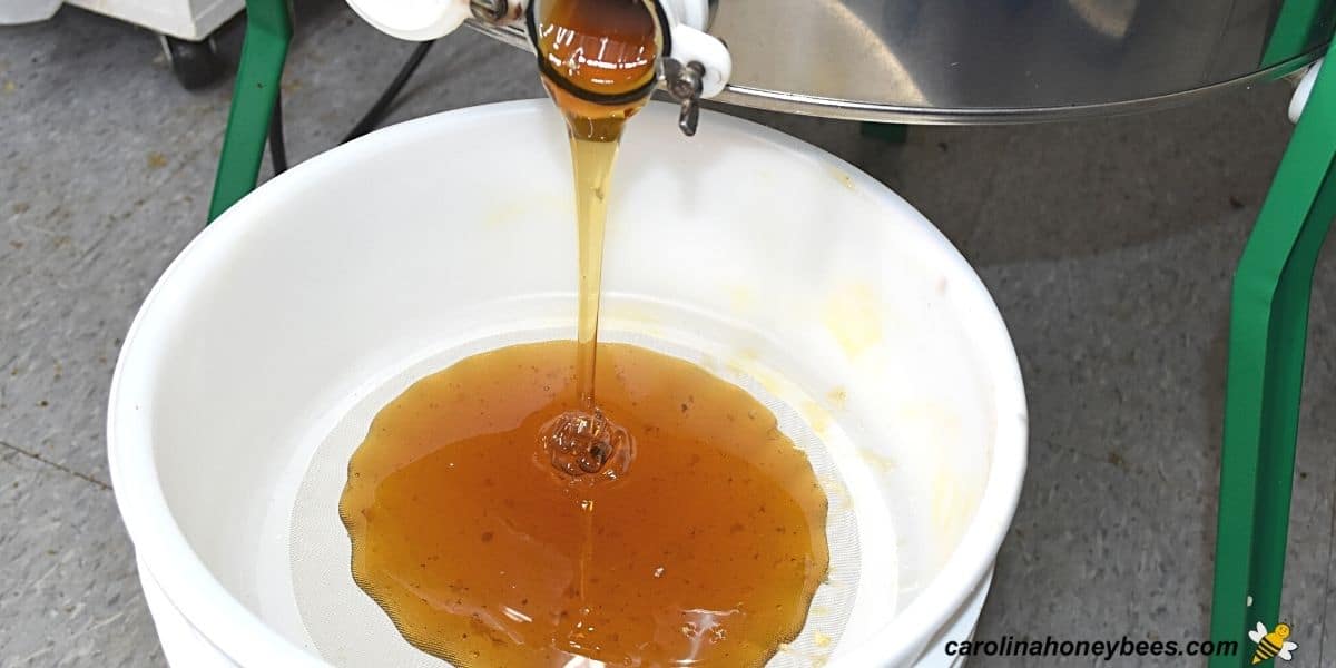 How to Extract Honey Step by Step Guide