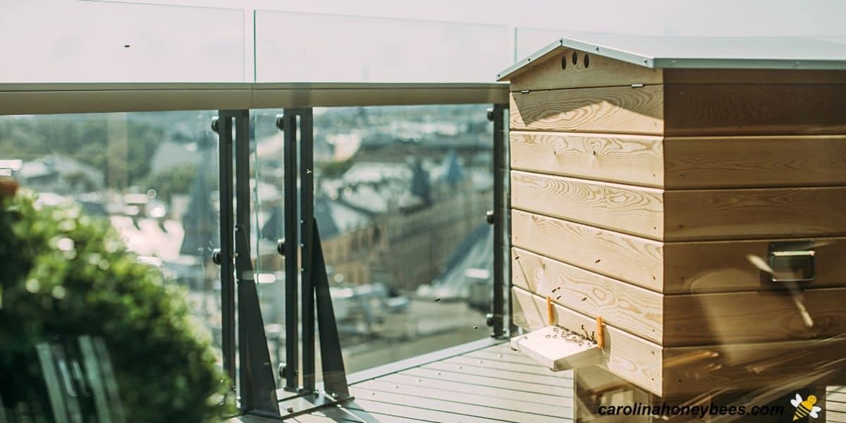 Urban Beekeepers