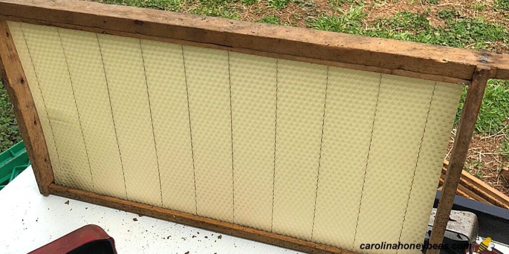 How to Install Wax Foundation in Frames Carolina Honeybees