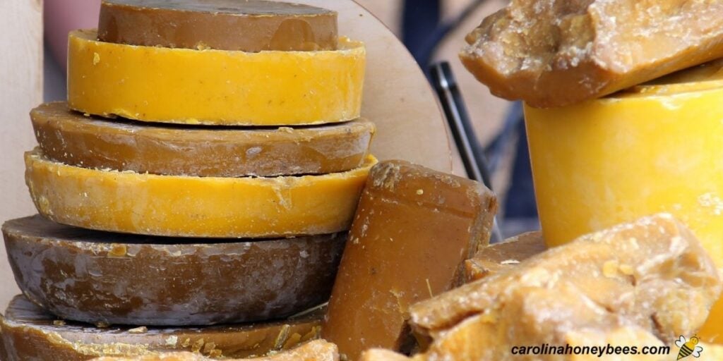 The Colors of Beeswax {Pictures} Carolina Honeybees