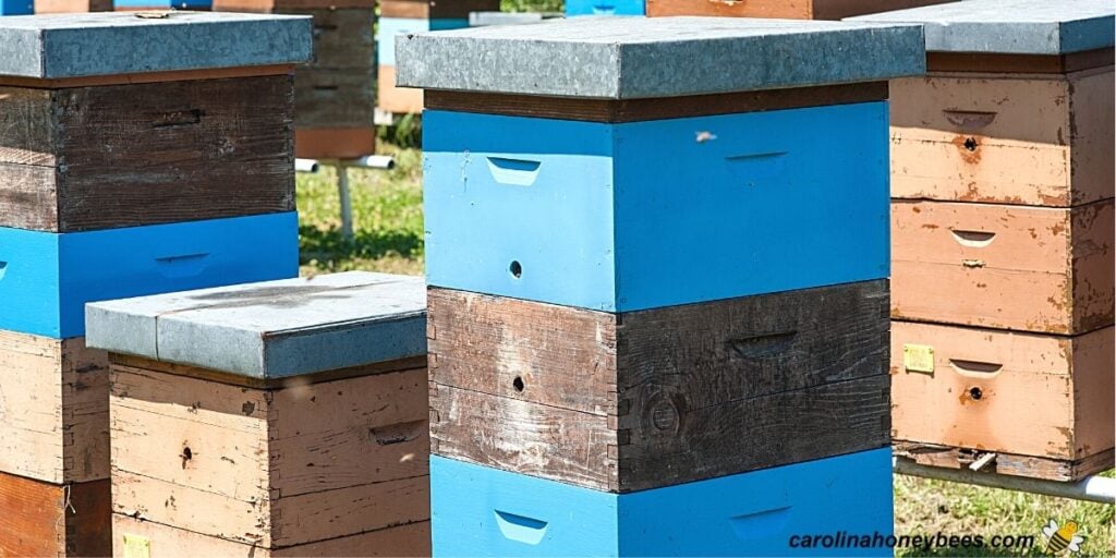Langstroth Hive Dimensions Beekeeper's Guide Carolina Honeybees