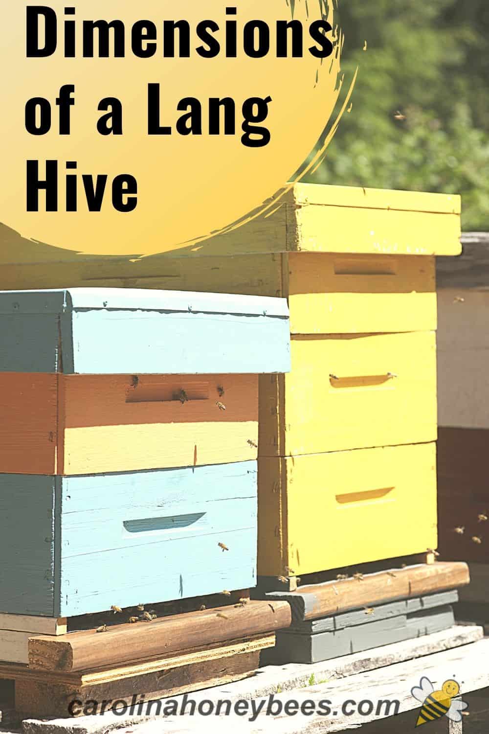 Langstroth Hive Dimensions {Ins and Outs} Carolina Honeybees
