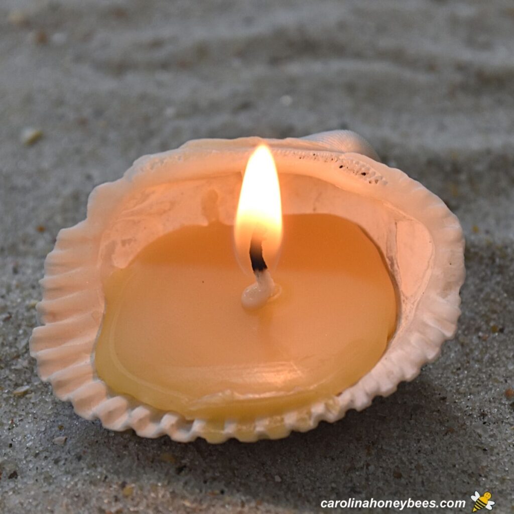 DIY Seashell Candles Step by Step Carolina Honeybees