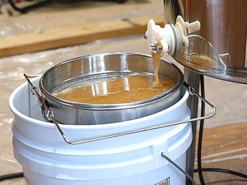 Fresh honey flows from gate on honey spinner.