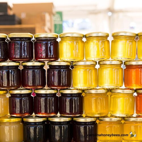 How to Store Honey (Simple Instructions) Carolina Honeybees