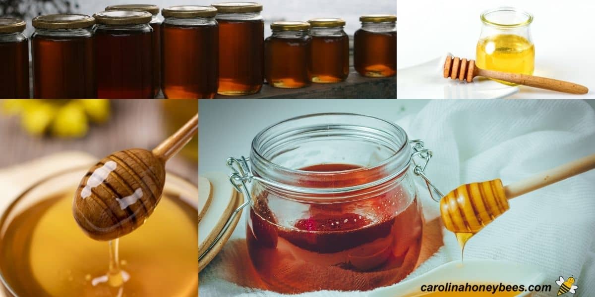 The Different Types of Honey - Carolina Honeybees