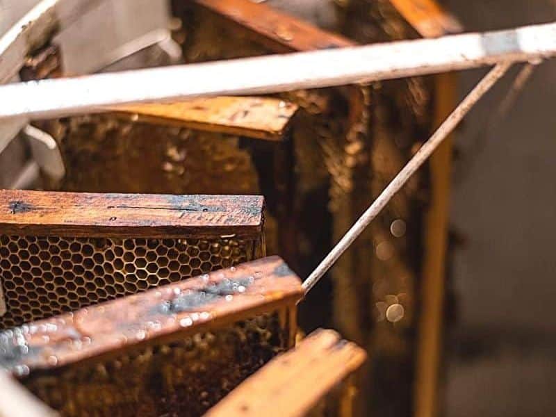 Radial honey centrifuge with shallow frames of honey inside image.