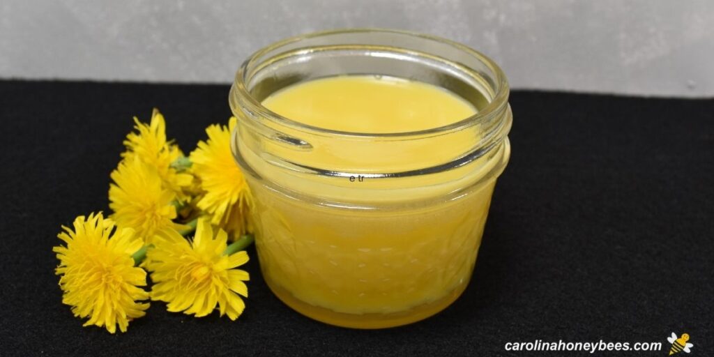 Beautiful yellow dandelion salve in glass jar.