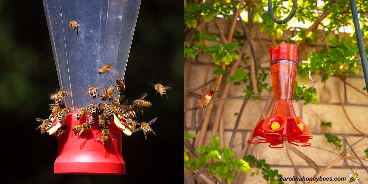 Bees and wasps on hummingbird feeder image.