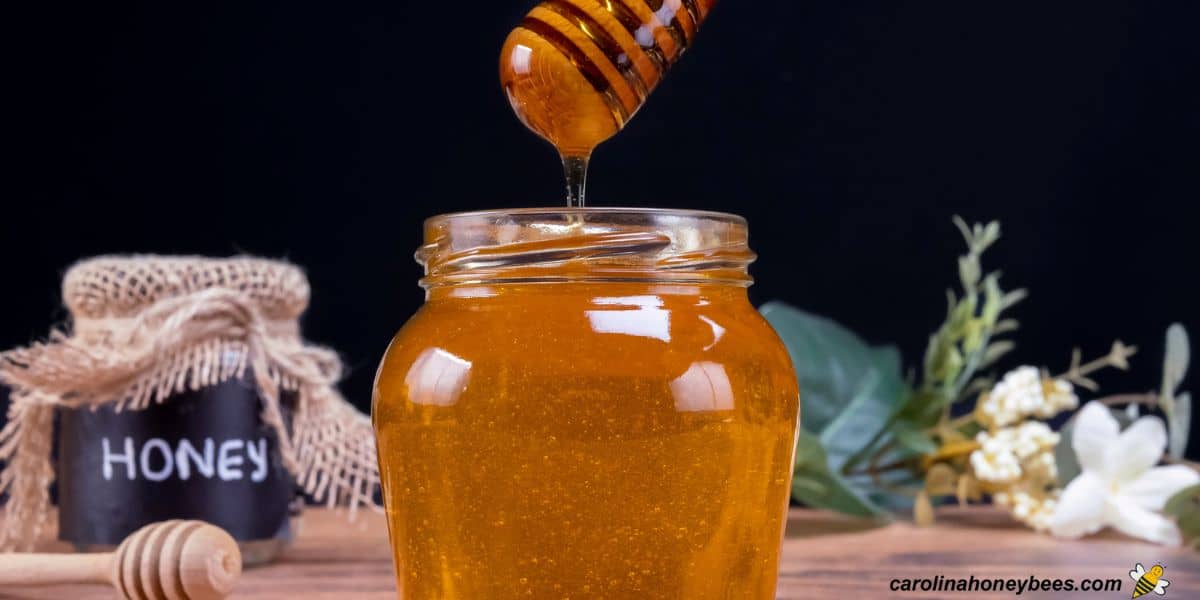 Fresh liquid watery honey dripping from dipper with bubbles in the jar.