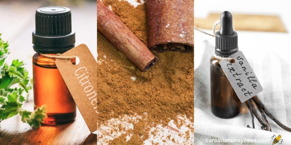 How to Keep Bees Away from Your House Carolina Honeybees