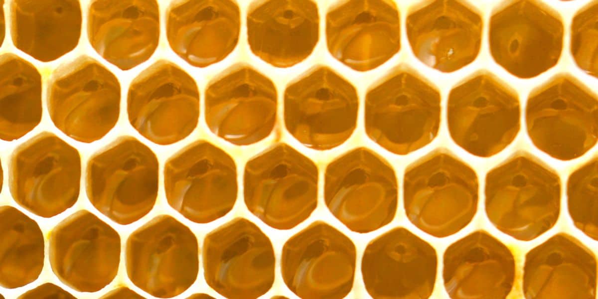 Brighten Up Your Kitchen With A Yellow Hexagon Honeycomb Bee - Temu