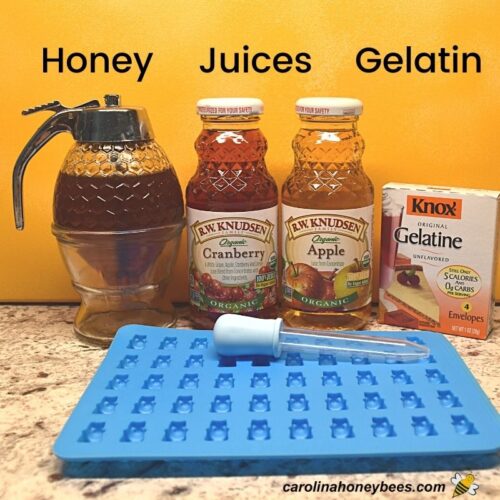 Healthy Honey Gummy Bears Recipe Carolina Honeybees