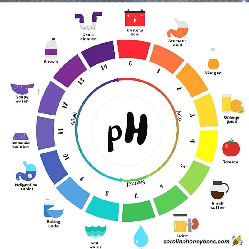 pH scale that shows readings for common items.