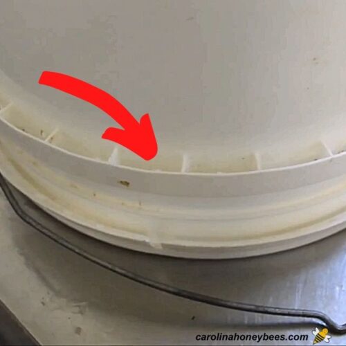 How to Make a Bucket Bee Feeder Carolina Honeybees