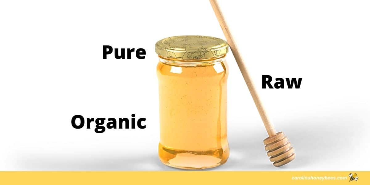 Pasteurized vs Unpasteurized Honey: What's the Difference and are