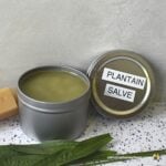 Tin of homemade plantain salve.