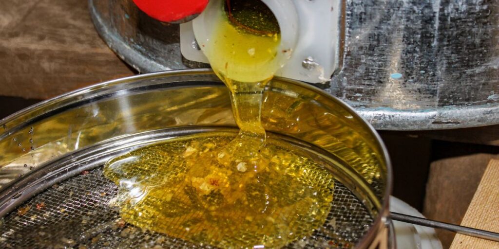 What is a Honey House? Do you Need one? Carolina Honeybees