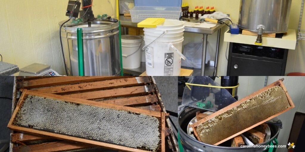 What is a Honey House? Do you Need one? Carolina Honeybees