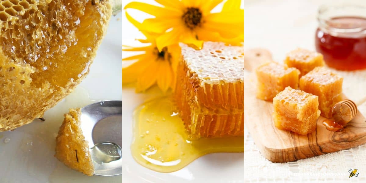 Can You Eat Beeswax? 