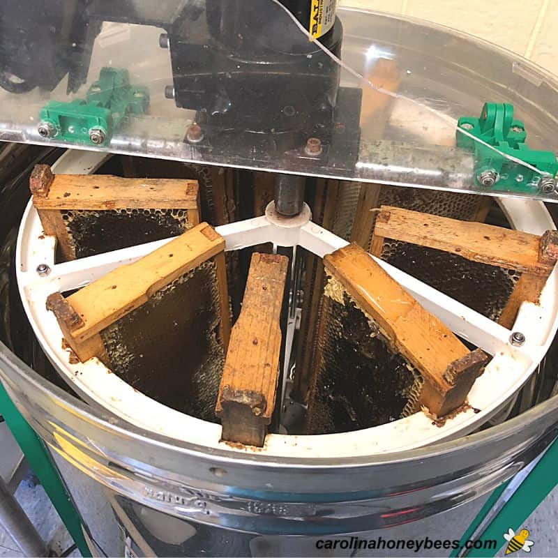 How to Extract Honey Step by Step Carolina Honeybees