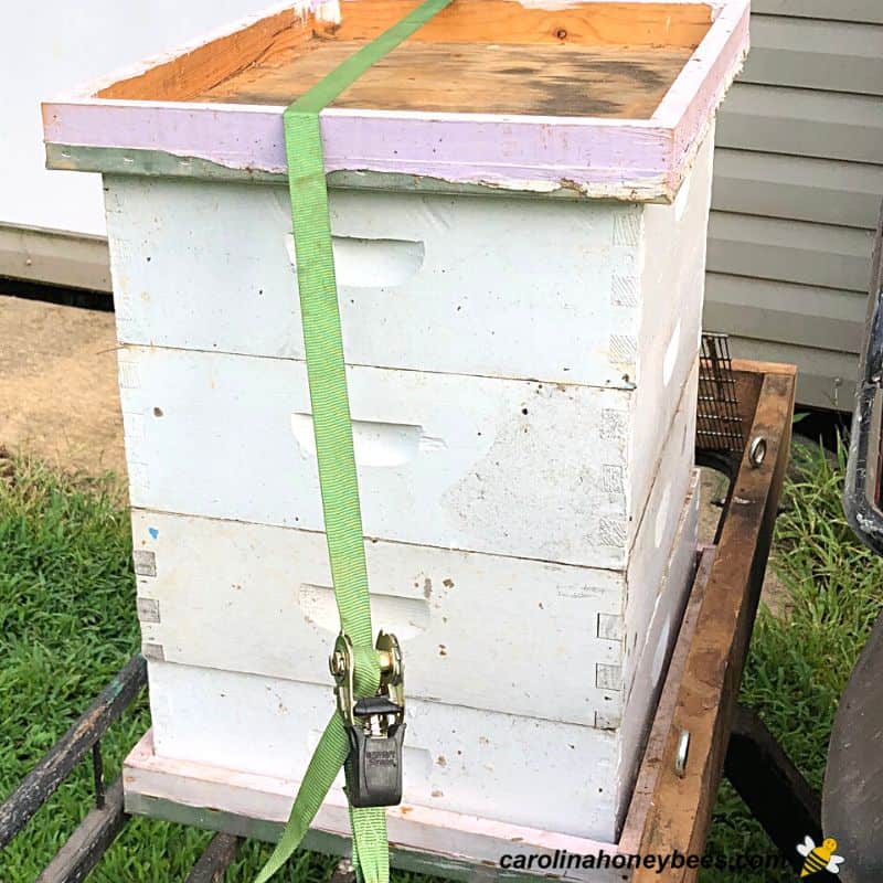 Stacked honey supers that have been removed from the beehives.