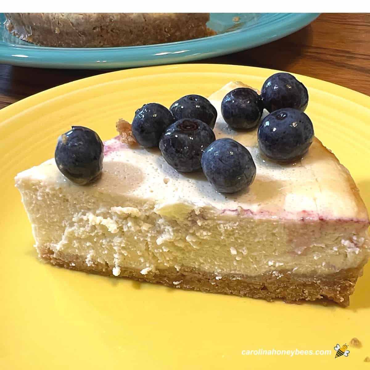 Honey Cheesecake within the Rapid Pot- Carolina Honeybees