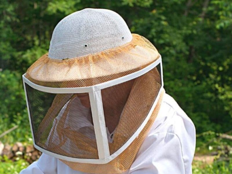 Beekeepers In White Protective Suit Holding Bees And Beeswax In