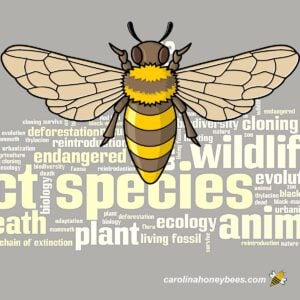 Words associated with endangered species with honey bee graphic overaly.