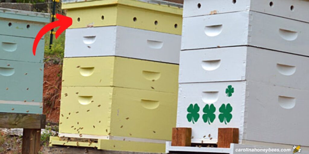 Beehive Ventilation How to Vent Your Hive Carolina Honeybees