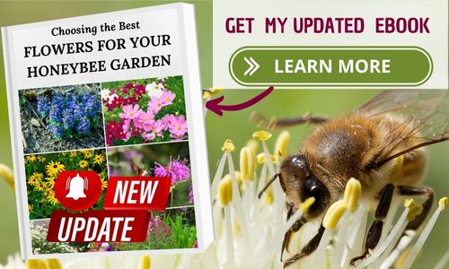 Updated ebook on flowers for bees.