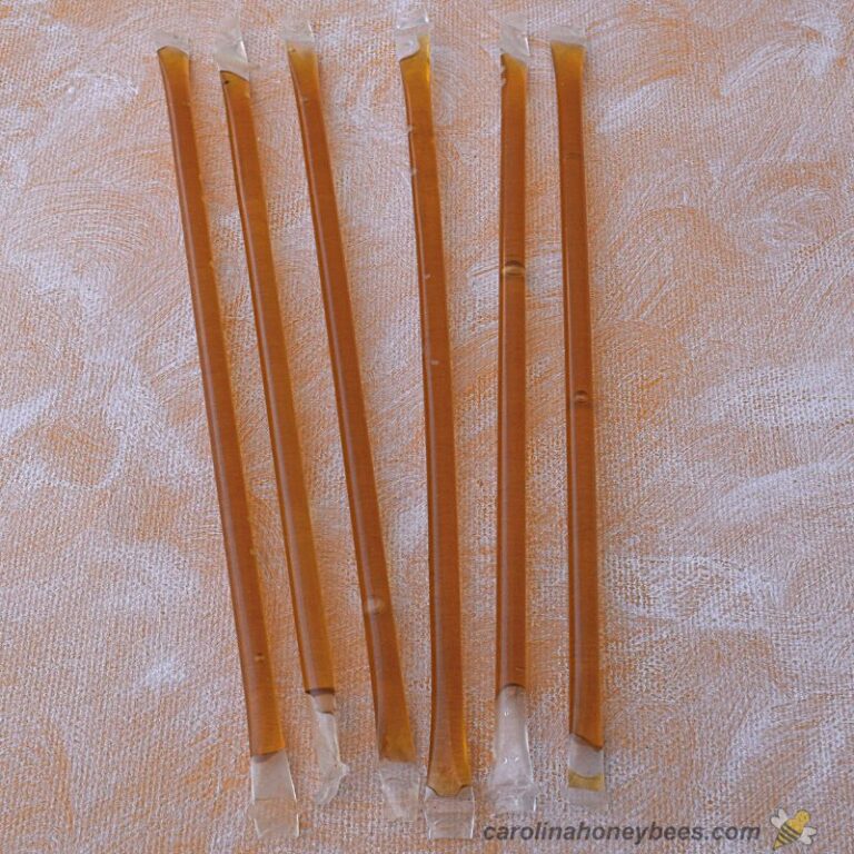 How to Make Honey Sticks (with Pictures) Carolina Honeybees