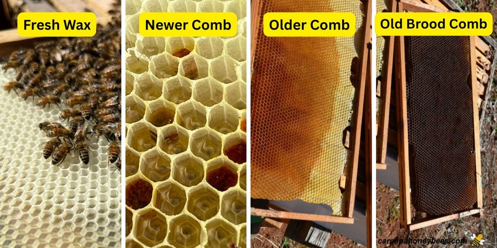 Pictures of beeswax from new white wax to old dark brood comb. 