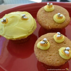 Honey cupcakes decorated with bee themed designs on a red plate.