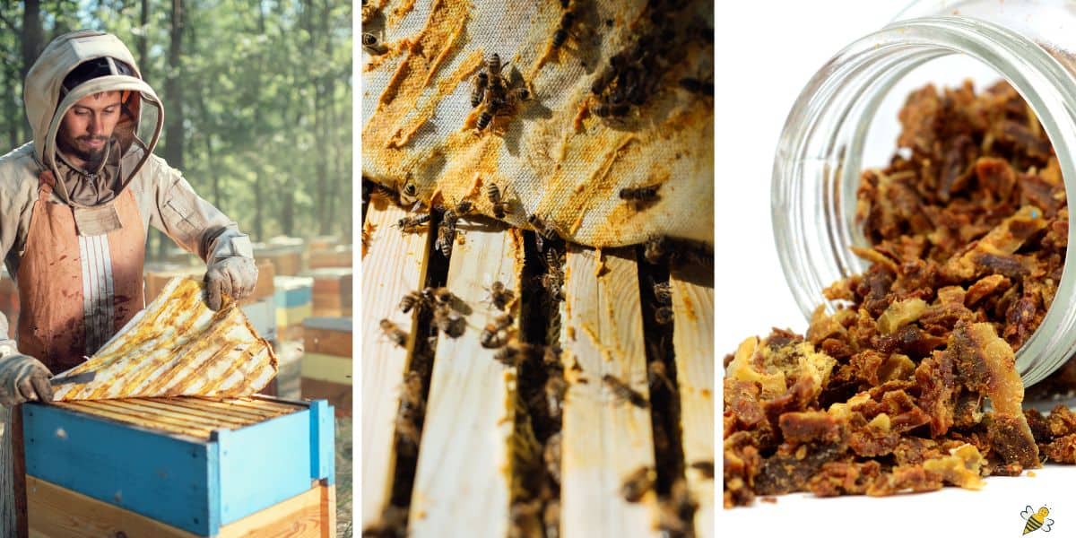 Bee propolis seams on a canvas inner cover from a hive image.