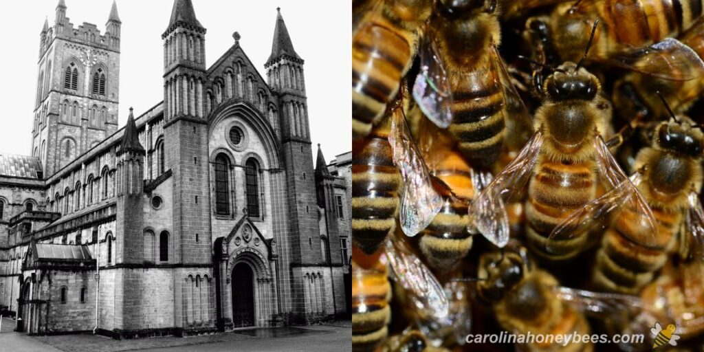Buckfast Bees By Brother Adam Carolina Honeybees
